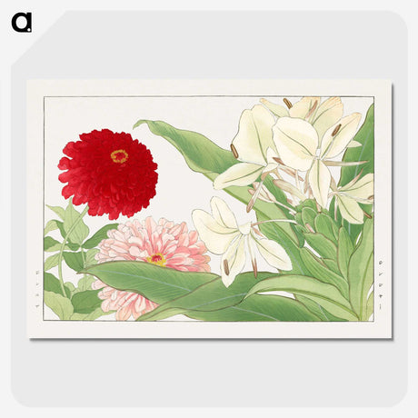 2-21_Seiyo-Soka-Zufu_picture-crop