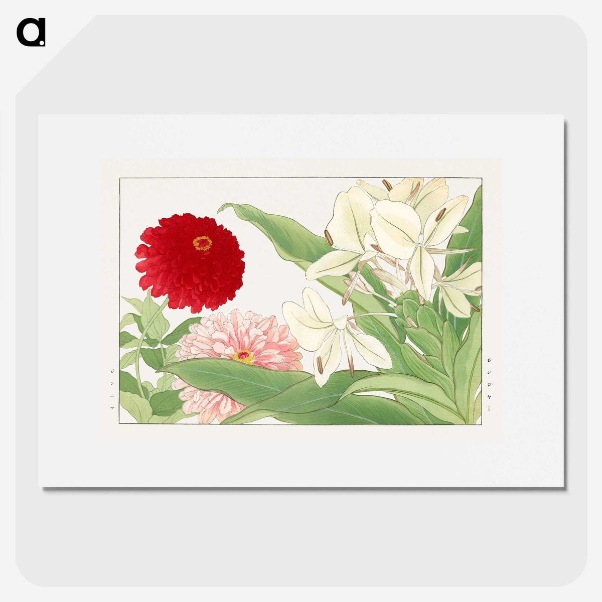 2-21_Seiyo-Soka-Zufu_picture