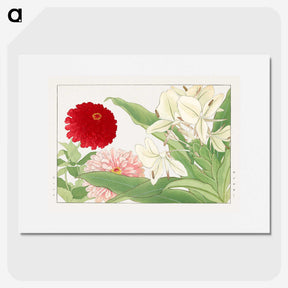 2-21_Seiyo-Soka-Zufu_picture
