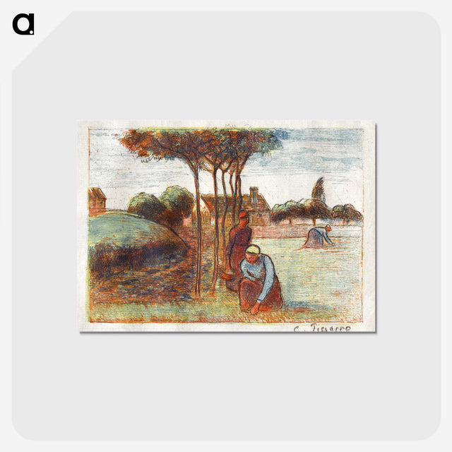 2-21_Sterling-and-Francine-Clark-Art-Institute_postcard