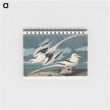 アートメモ帳-Tropic Bird from Birds of America
 - アメリカの鳥たち Memo.