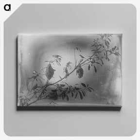 2-21_The-Burton-Brothers_canvas
