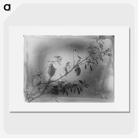 2-21_The-Burton-Brothers_picture