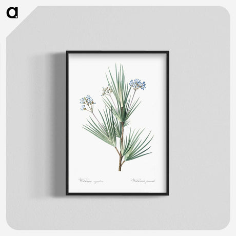 2-21_The-Lilies_blk-crop