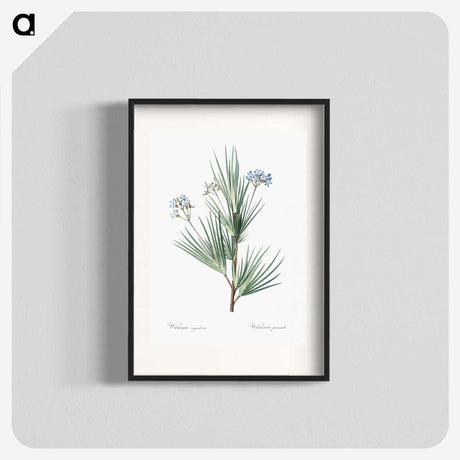 2-21_The-Lilies_blk