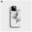 2-21_The-Lilies_phone