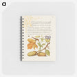 アートメモ帳-Insect, Daffodil, European Columbine, and English Oak Acorns
 - 書道のお手本 Memo.