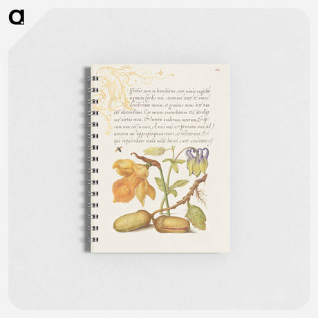 アートメモ帳-Insect, Daffodil, European Columbine, and English Oak Acorns
 - 書道のお手本 Memo.