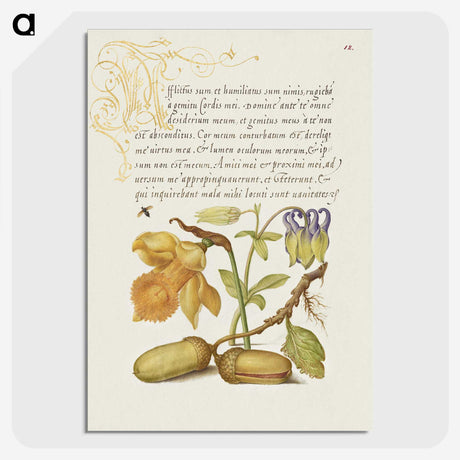 2-21_The-Model-Book-of-Calligraphy_picture-crop