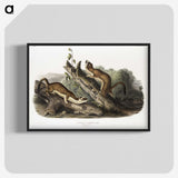 2-21_The-Viviparous-Quadrupeds_blk-crop