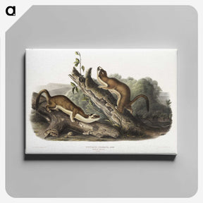 2-21_The-Viviparous-Quadrupeds_canvas