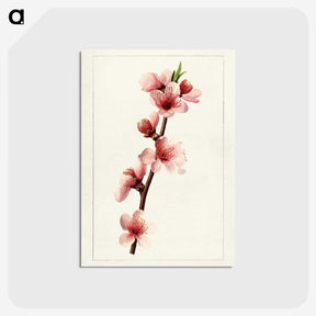 2-21_USDA-Watercolor-Fruit-Painting-Collection_postcard