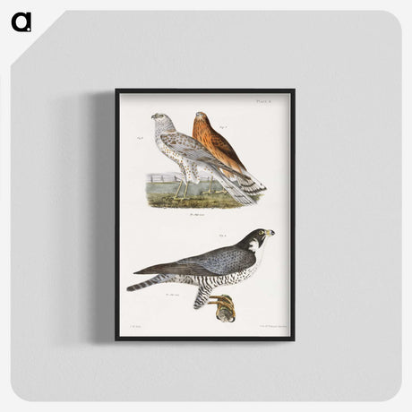 2-21_Zoology-of-New-York_blk-crop