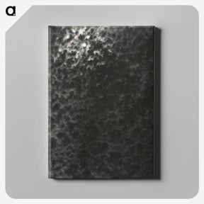 2-22_Alfred-Stieglitz_canvas