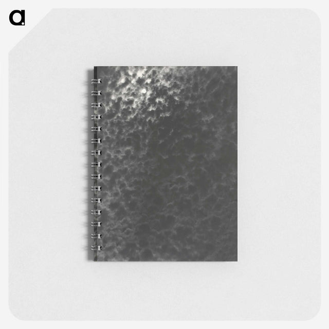 2-22_Alfred-Stieglitz_memo