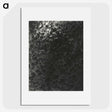 2-22_Alfred-Stieglitz_picture