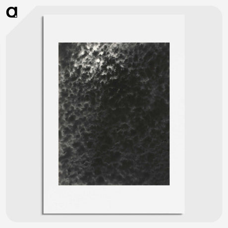 2-22_Alfred-Stieglitz_picture