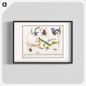 アートポスター-Natural History Ensemble, no. 6 - アンセルムス ボエティウス デ ブート Poster.