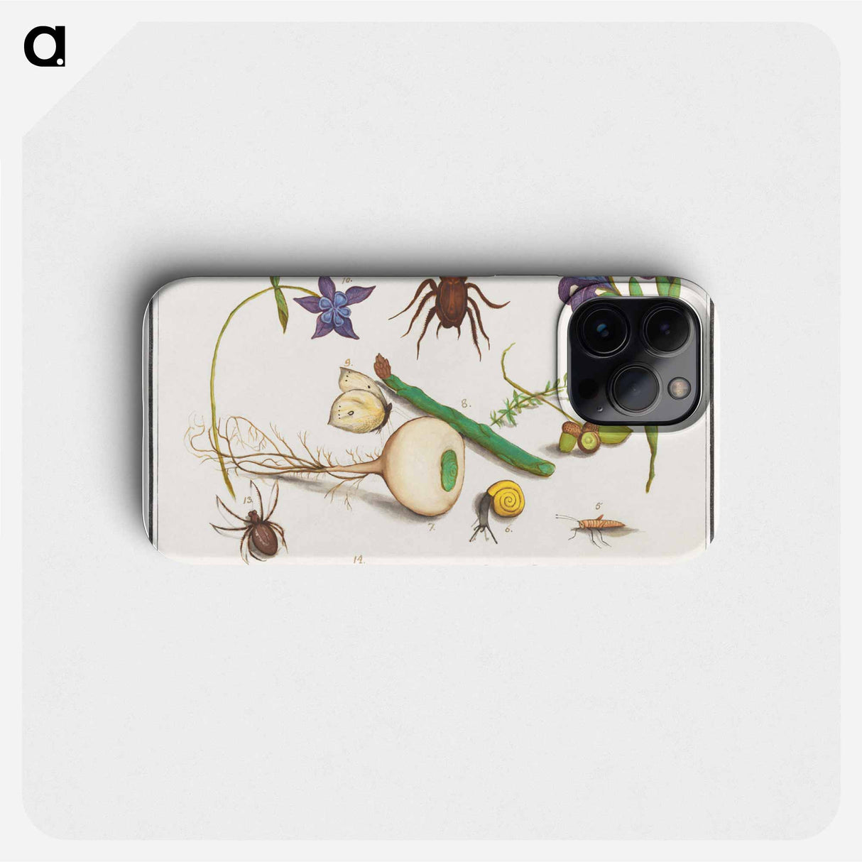 Natural History Ensemble, no. 6 - アンセルムス ボエティウス デ ブート Phone Case.
