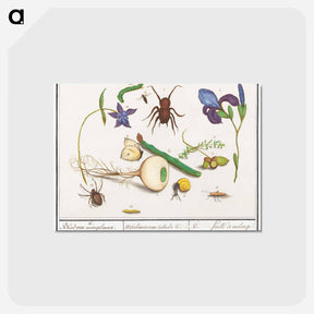 アートポストカード-Natural History Ensemble, no. 6 - アンセルムス ボエティウス デ ブート Postcard.