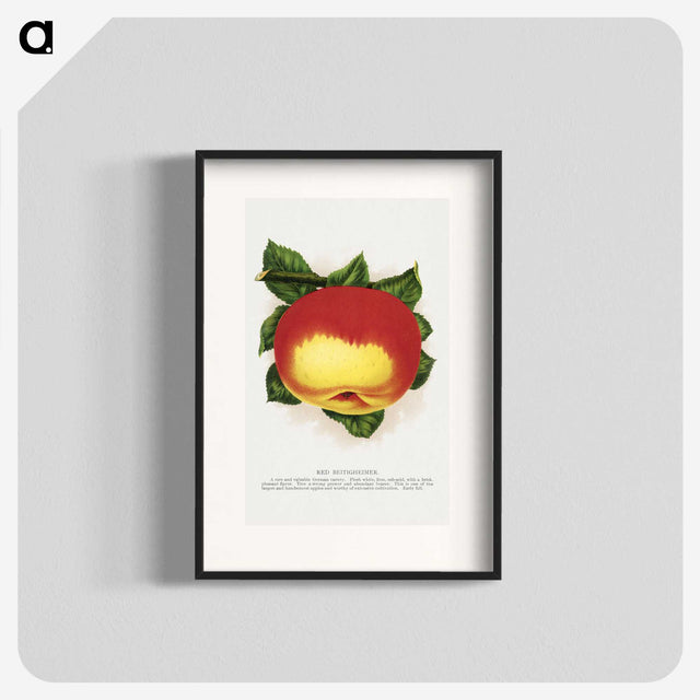 2-22_Botanical-Specimen-Plates_blk