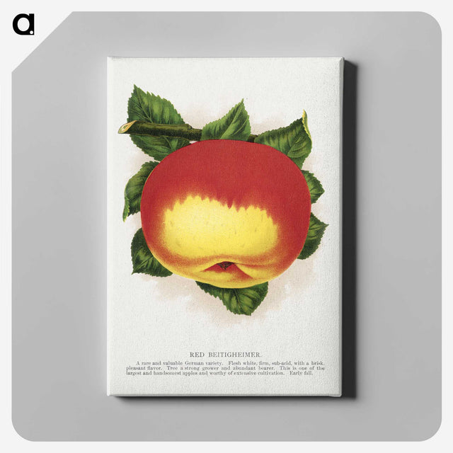 2-22_Botanical-Specimen-Plates_canvas