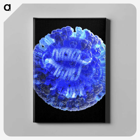 2-22_COVID-19_canvas