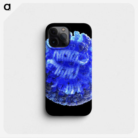 2-22_COVID-19_phone