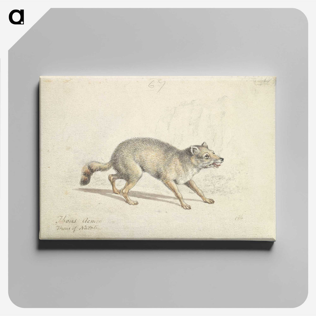 2-22_Charles-Hamilton-Smith_canvas
