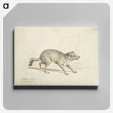2-22_Charles-Hamilton-Smith_canvas