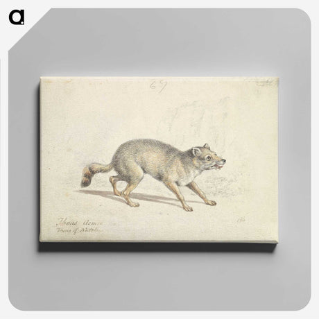 2-22_Charles-Hamilton-Smith_canvas