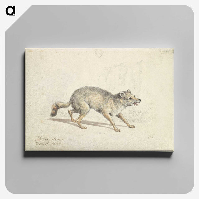 2-22_Charles-Hamilton-Smith_canvas