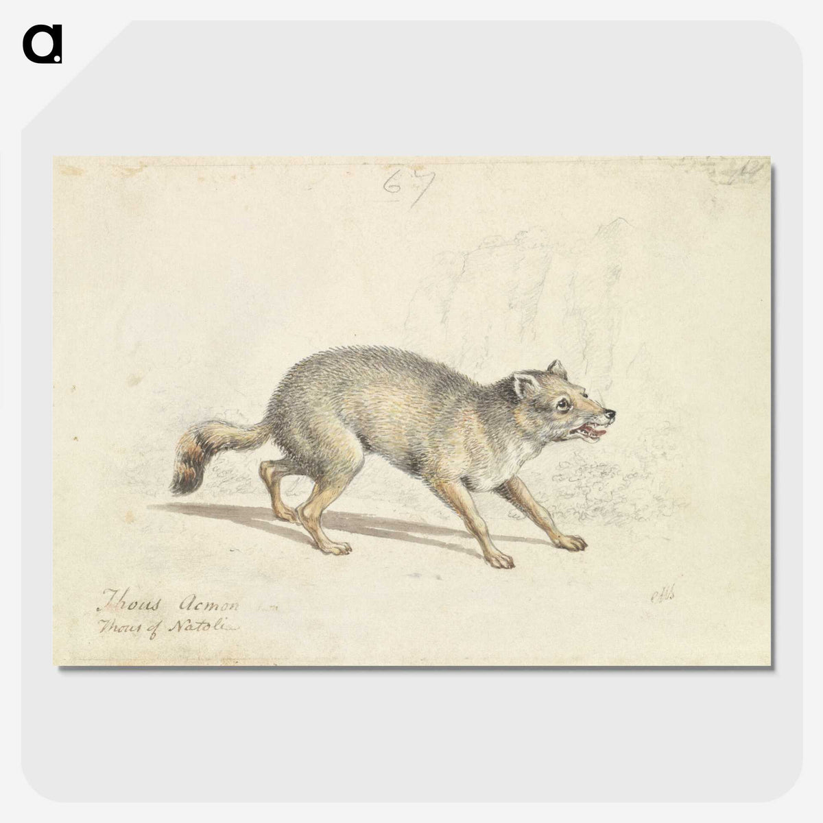 2-22_Charles-Hamilton-Smith_picture-crop