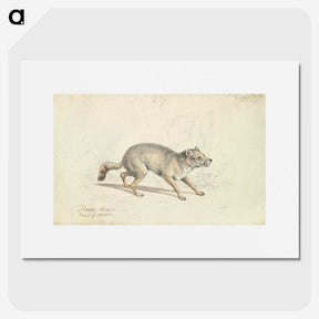 2-22_Charles-Hamilton-Smith_picture