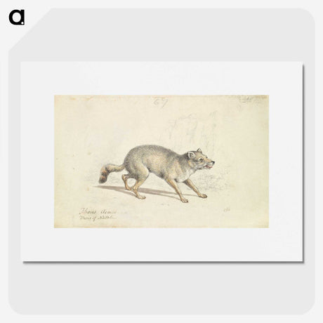 2-22_Charles-Hamilton-Smith_picture