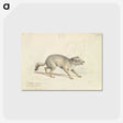 2-22_Charles-Hamilton-Smith_postcard