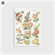 2-22_Cleveland-Museum-of-Art_postcard