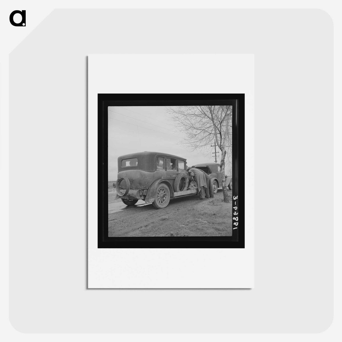 2-22_Dorothea-Lange_hagaki