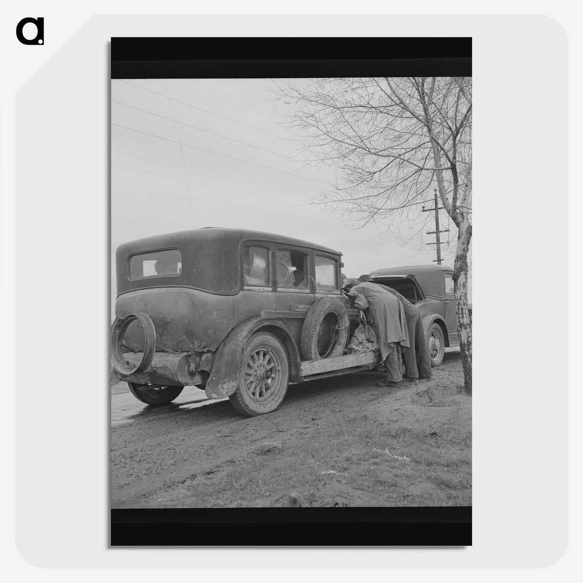 2-22_Dorothea-Lange_picture-crop