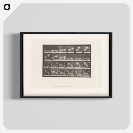2-22_Eadweard-Muybridge_blk-crop