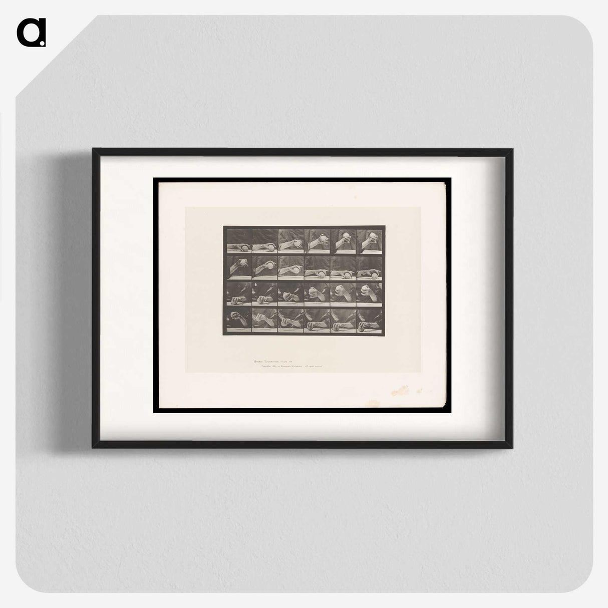 2-22_Eadweard-Muybridge_blk