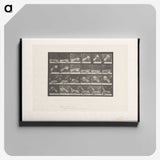 2-22_Eadweard-Muybridge_canvas