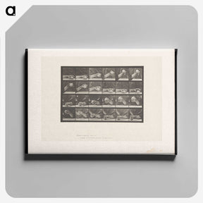 2-22_Eadweard-Muybridge_canvas