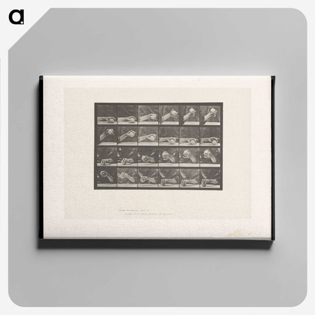 2-22_Eadweard-Muybridge_canvas