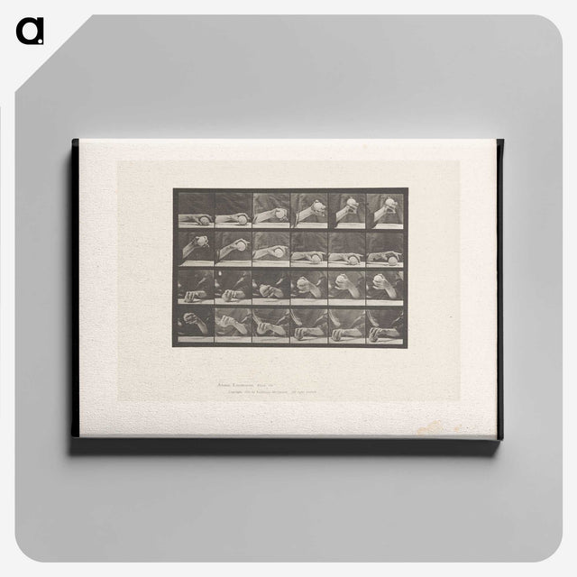 2-22_Eadweard-Muybridge_canvas