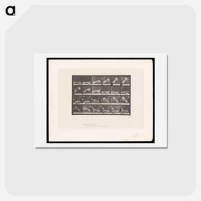 アートポストカード-Hand Lifting Ball
 - エドワード マイブリッジ Postcard.
