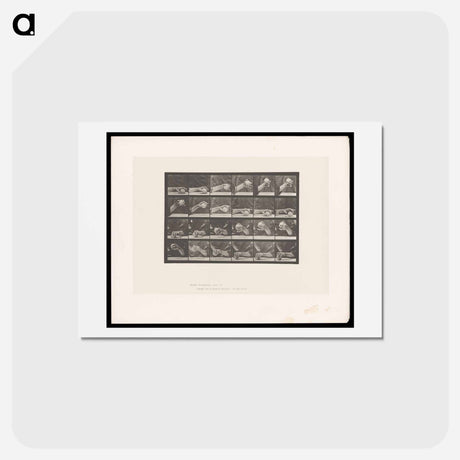 アートポストカード-Hand Lifting Ball
 - エドワード マイブリッジ Postcard.