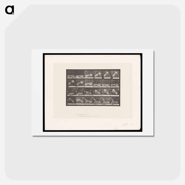アートポストカード-Hand Lifting Ball
 - エドワード マイブリッジ Postcard.