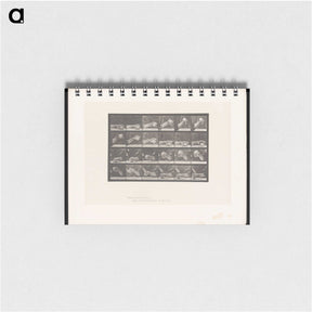 2-22_Eadweard-Muybridge_memo