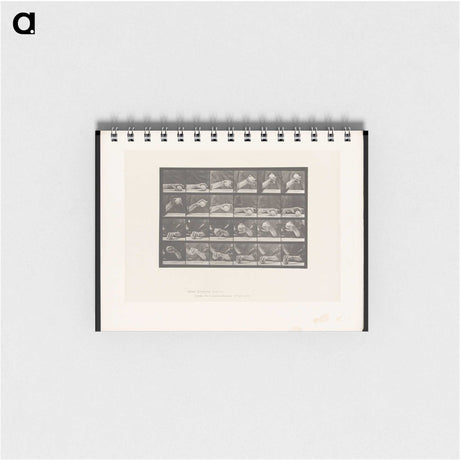 2-22_Eadweard-Muybridge_memo